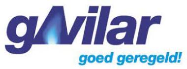 Logo Gavilar